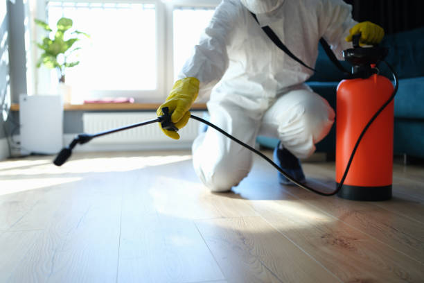 Reliable Infectious Disease Decontamination contractor in Agua Dulce, CA by Trauma Clean Pros